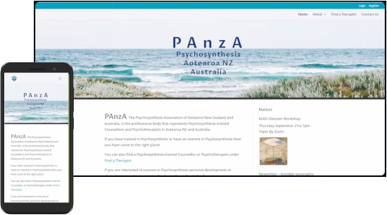 PAnzA portfolio screenshot